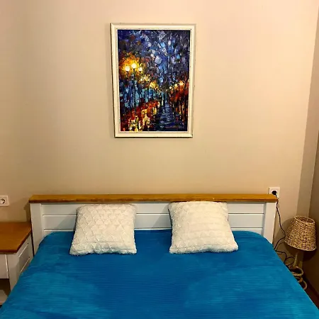 райнови Apartment Plewen
