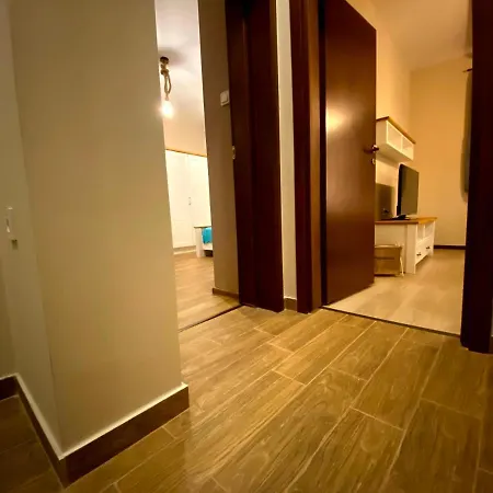 райнови * Plevna