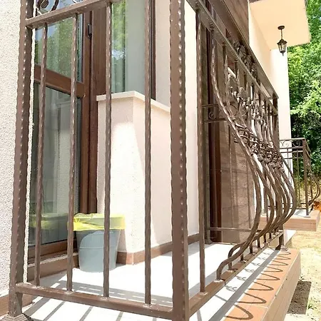 райнови Plevna