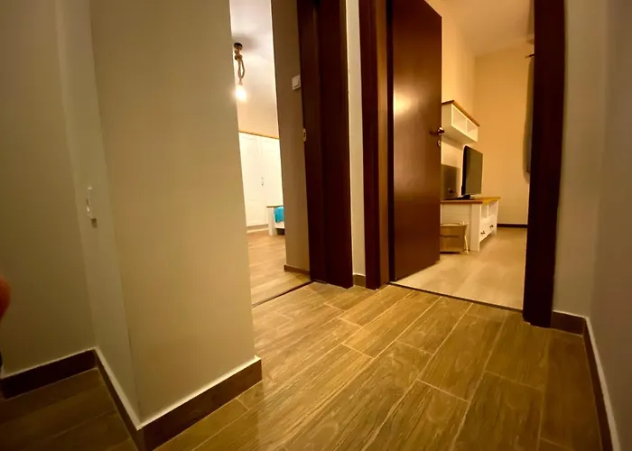 райнови * Plewen